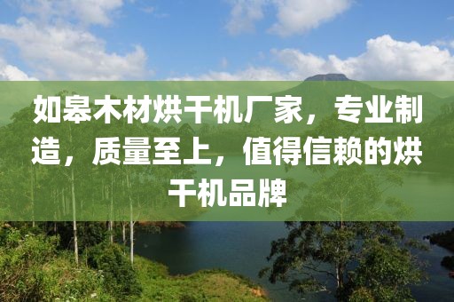 如皋木材烘干机厂家，专业制造，质量至上，值得信赖的烘干机品牌