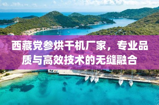 西藏党参烘干机厂家，专业品质与高效技术的无缝融合