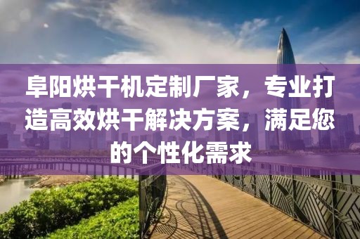 阜阳烘干机定制厂家，专业打造高效烘干解决方案，满足您的个性化需求