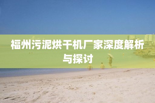 福州污泥烘干机厂家深度解析与探讨