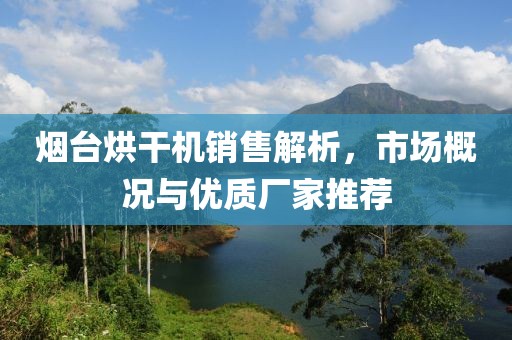 烟台烘干机销售解析，市场概况与优质厂家推荐