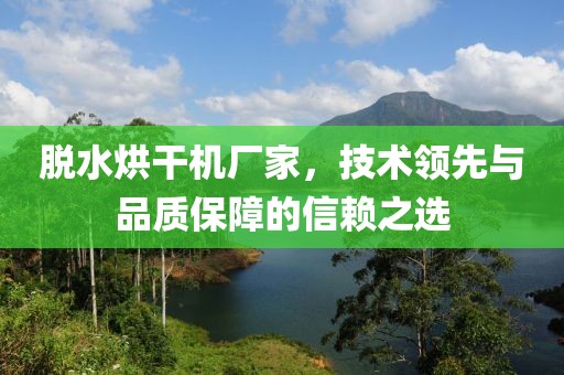 脱水烘干机厂家，技术领先与品质保障的信赖之选