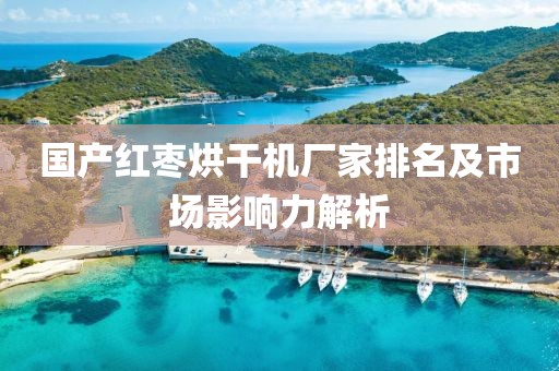 国产红枣烘干机厂家排名及市场影响力解析