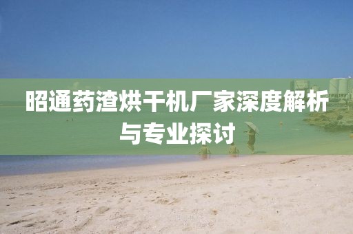 昭通药渣烘干机厂家深度解析与专业探讨