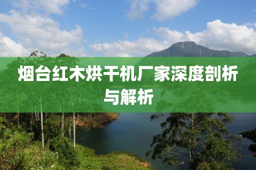 烟台红木烘干机厂家深度剖析与解析