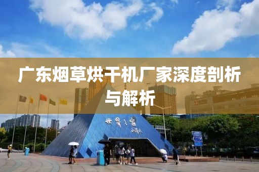 广东烟草烘干机厂家深度剖析与解析