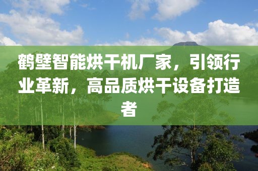 鹤壁智能烘干机厂家，引领行业革新，高品质烘干设备打造者