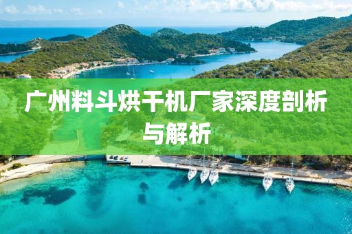 广州料斗烘干机厂家深度剖析与解析