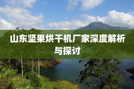 山东坚果烘干机厂家深度解析与探讨