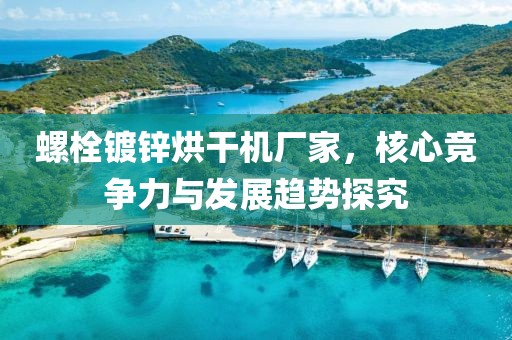 螺栓镀锌烘干机厂家，核心竞争力与发展趋势探究