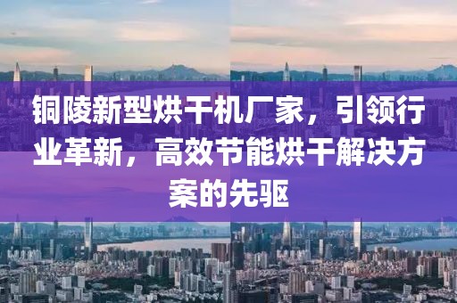 铜陵新型烘干机厂家，引领行业革新，高效节能烘干解决方案的先驱