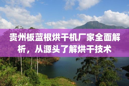 贵州板蓝根烘干机厂家全面解析，从源头了解烘干技术