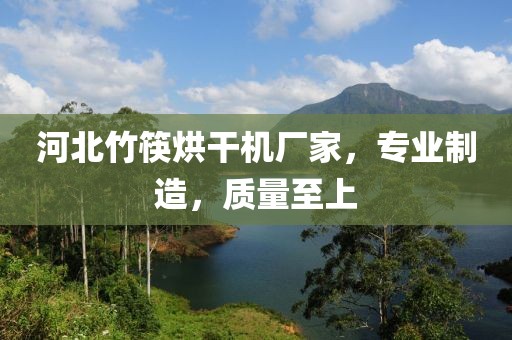 2025年2月20日 第45页