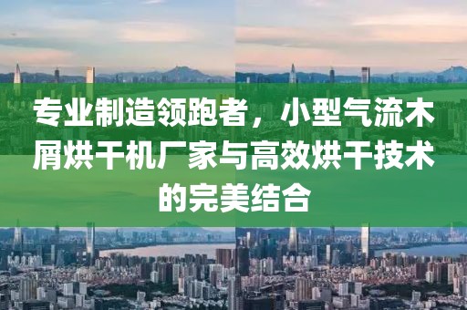 专业制造领跑者，小型气流木屑烘干机厂家与高效烘干技术的完美结合