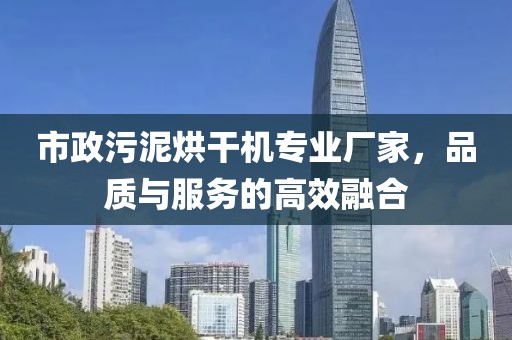 市政污泥烘干机专业厂家，品质与服务的高效融合