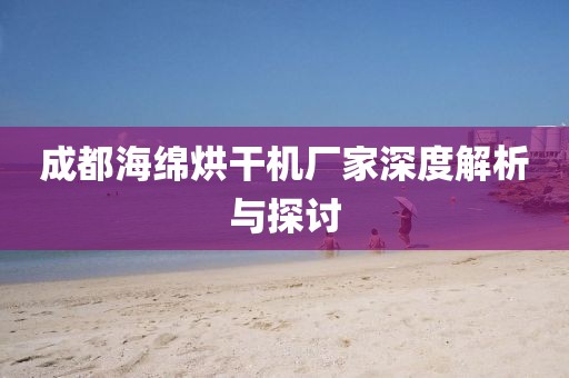 成都海绵烘干机厂家深度解析与探讨