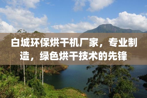 白城环保烘干机厂家，专业制造，绿色烘干技术的先锋