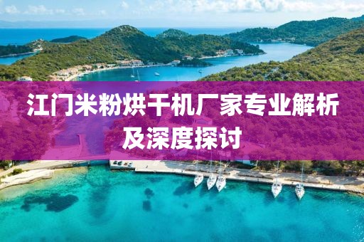 江门米粉烘干机厂家专业解析及深度探讨