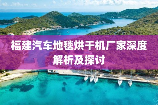 福建汽车地毯烘干机厂家深度解析及探讨