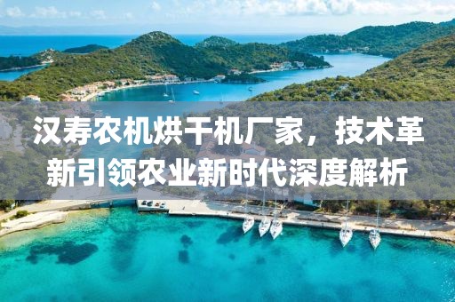 汉寿农机烘干机厂家，技术革新引领农业新时代深度解析