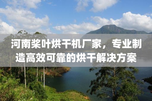 河南桨叶烘干机厂家，专业制造高效可靠的烘干解决方案