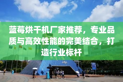 蓝莓烘干机厂家推荐，专业品质与高效性能的完美结合，打造行业标杆