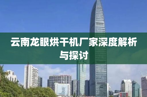 云南龙眼烘干机厂家深度解析与探讨