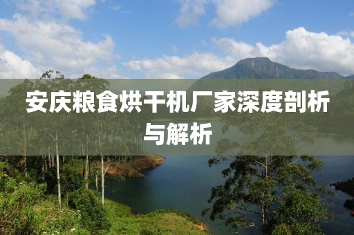 安庆粮食烘干机厂家深度剖析与解析