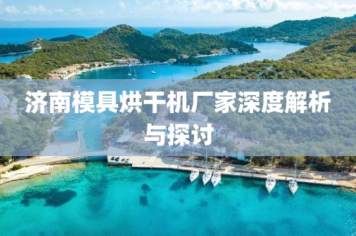 济南模具烘干机厂家深度解析与探讨