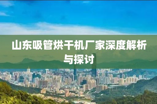 山东吸管烘干机厂家深度解析与探讨