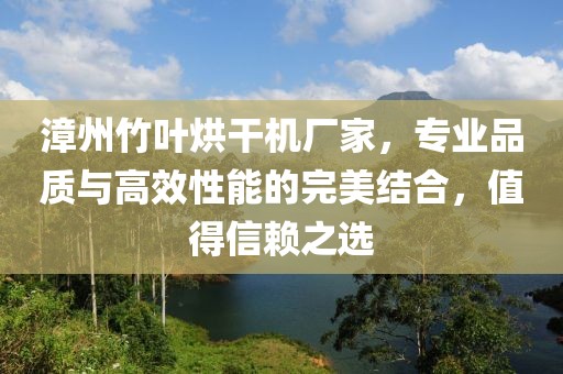 漳州竹叶烘干机厂家，专业品质与高效性能的完美结合，值得信赖之选