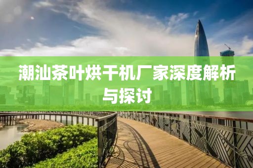 潮汕茶叶烘干机厂家深度解析与探讨