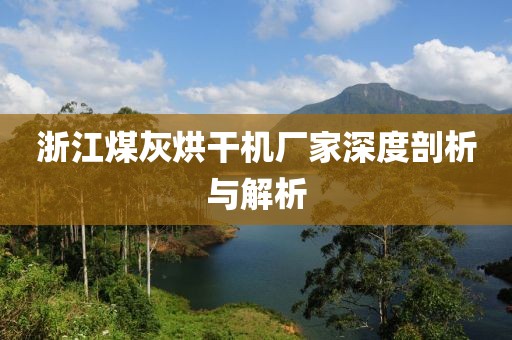 浙江煤灰烘干机厂家深度剖析与解析