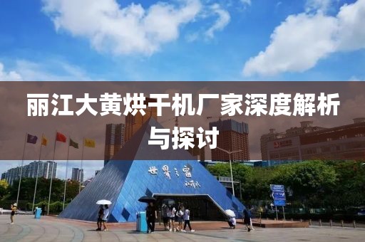 丽江大黄烘干机厂家深度解析与探讨