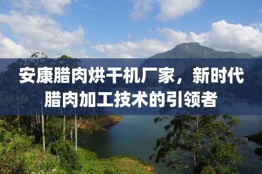 安康腊肉烘干机厂家，新时代腊肉加工技术的引领者