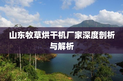 山东牧草烘干机厂家深度剖析与解析