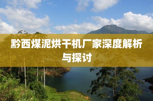 黔西煤泥烘干机厂家深度解析与探讨