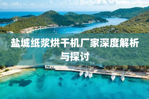 盐城纸浆烘干机厂家深度解析与探讨