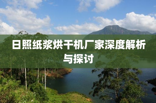 日照纸浆烘干机厂家深度解析与探讨