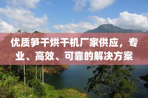 优质笋干烘干机厂家供应，专业、高效、可靠的解决方案