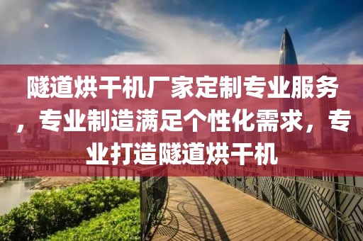 隧道烘干机厂家定制专业服务，专业制造满足个性化需求，专业打造隧道烘干机