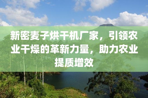 新密麦子烘干机厂家，引领农业干燥的革新力量，助力农业提质增效