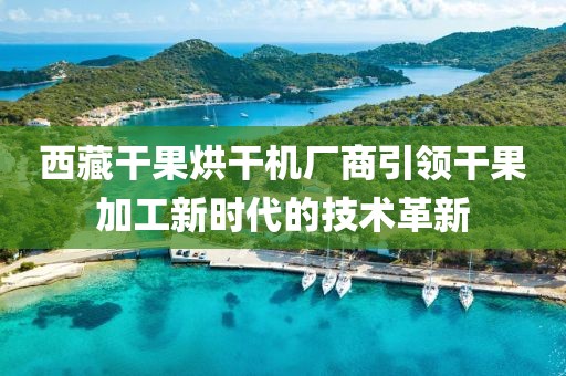 西藏干果烘干机厂商引领干果加工新时代的技术革新