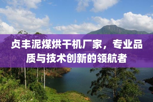 贞丰泥煤烘干机厂家，专业品质与技术创新的领航者