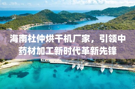 海南杜仲烘干机厂家，引领中药材加工新时代革新先锋