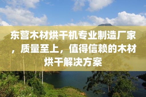 东营木材烘干机专业制造厂家，质量至上，值得信赖的木材烘干解决方案