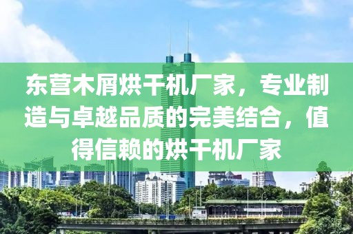 东营木屑烘干机厂家，专业制造与卓越品质的完美结合，值得信赖的烘干机厂家