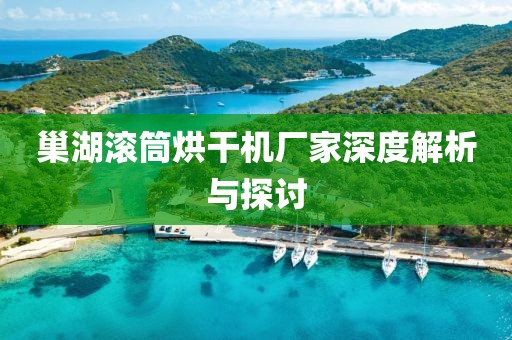 巢湖滚筒烘干机厂家深度解析与探讨