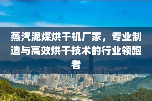 蒸汽泥煤烘干机厂家，专业制造与高效烘干技术的行业领跑者