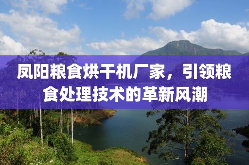 凤阳粮食烘干机厂家，引领粮食处理技术的革新风潮